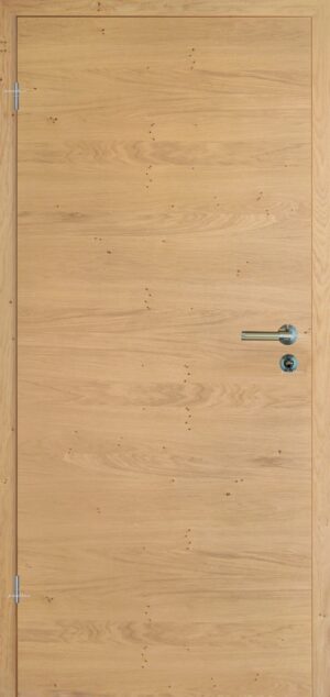 Herholz Modern Horizont Eiche natur Roheffekt quer Furnierte Innentür