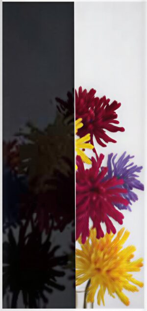 Dark Grey Standardgläser – Kunex Ganzglastüren