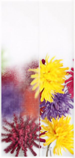 Ornament 504 Standardgläser - Kunex Ganzglastüren