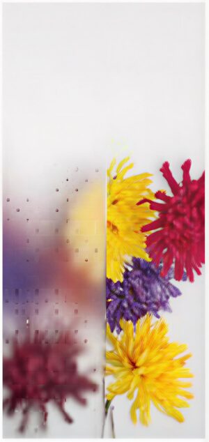 Pave weiß Standardgläser - Kunex Ganzglastüren