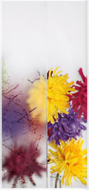 Uadi weiß Standardgläser – Kunex Ganzglastüren