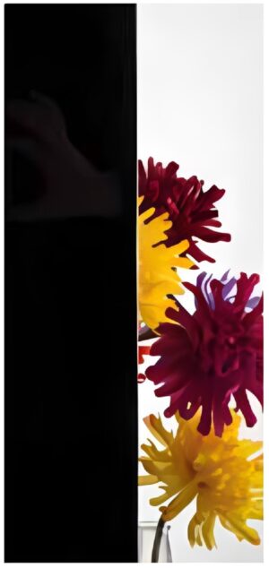 VSG Absolute black (tiefschwarz) - Kunex Ganzglastüren