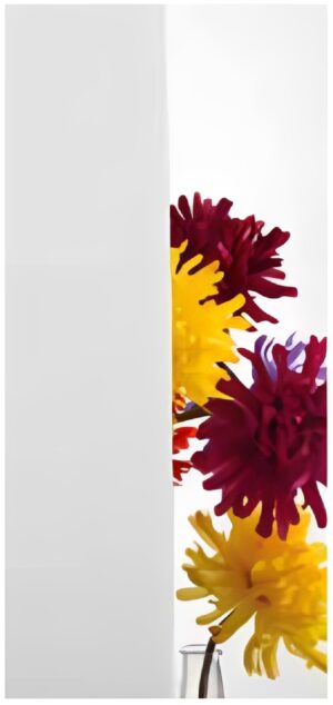 VSG Arctic snow (matt weiß) - Kunex Ganzglastüren