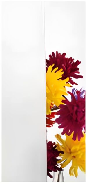 VSG Polar white (super weiß) - Kunex Ganzglastüren